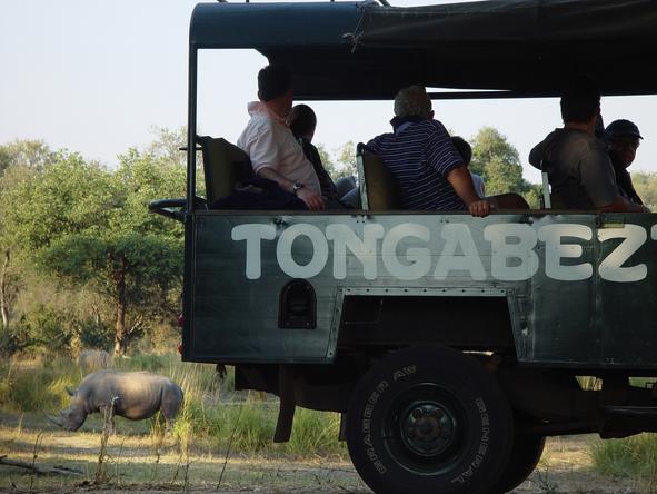 Tangala House - Game Drive 